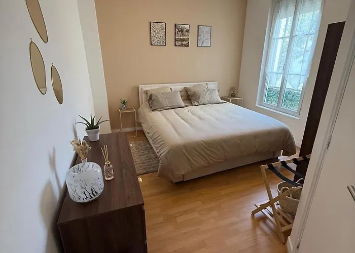 Daire T2 Tour Des Anglais, Chu, Place Rochefoucauld Angers